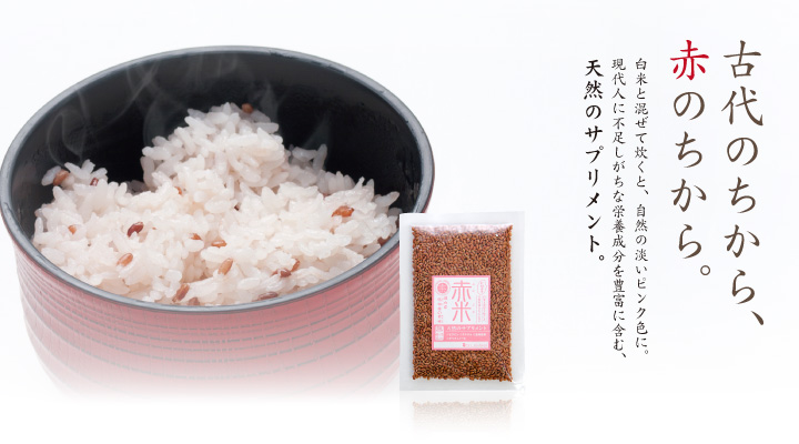 米 栄養 赤