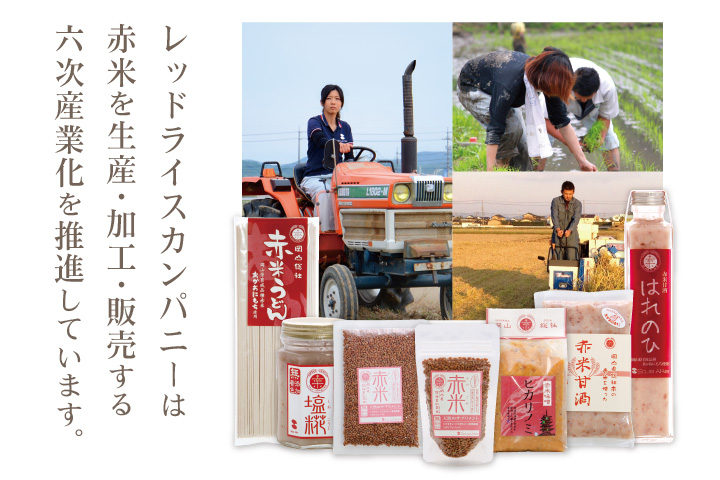 レッドライスカンパニーは赤米を生産・加工・販売する六次産業化を推進しています。