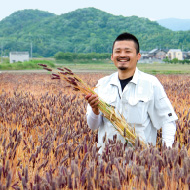 岡山のもち麦